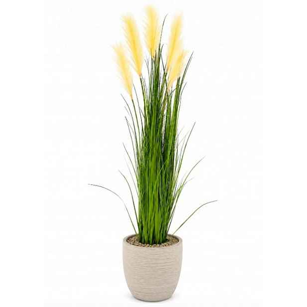Umělá tráva pampová tráva 150 cm, 7 krémových hlaviček