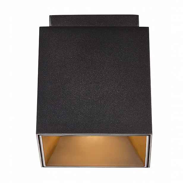 Stropní svítidlo Ethan downlight nástěnný černé 1x10W/GU10 IP20