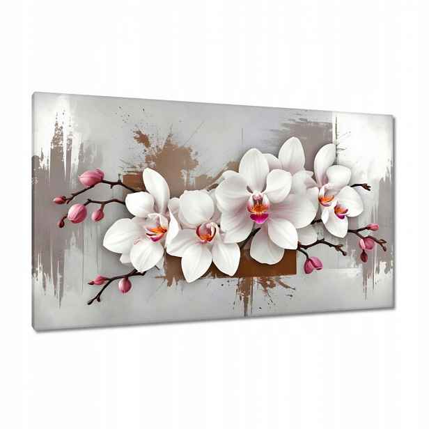 Obrazy 120x70 Bílá orchidej