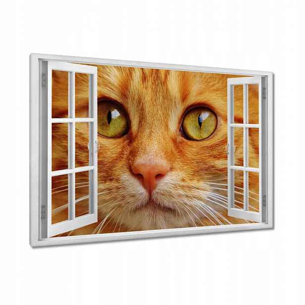 Obrazy 120x80 Kočička Kočky Kicia