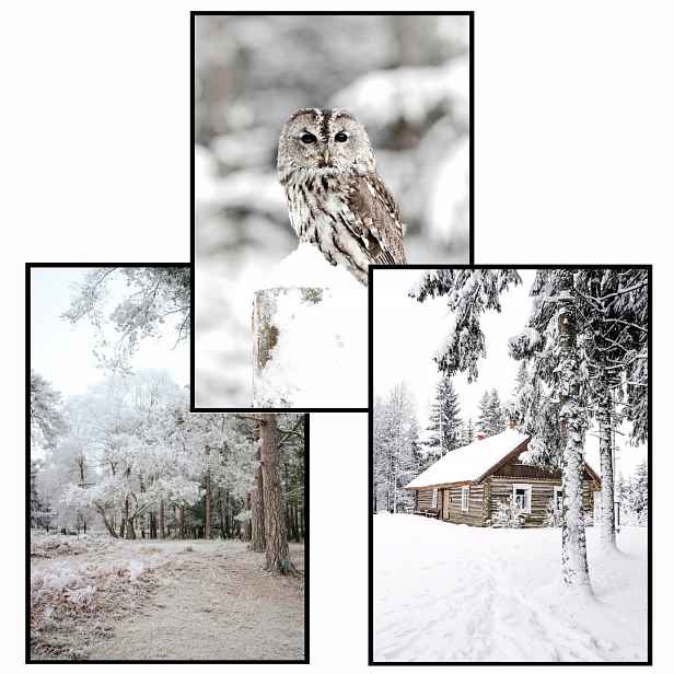 Plakáty Set 3ks 50x70 Zima eviero bílá béžová šedá les sova sníh domeček