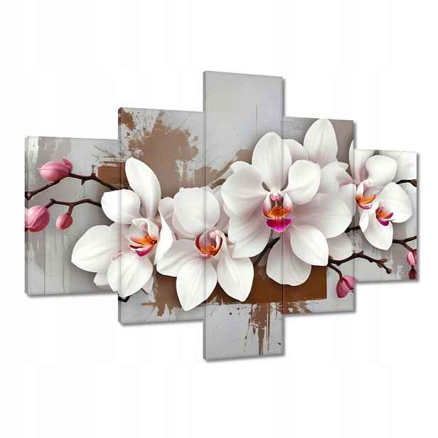 Obrazy 100x70 Bílá orchidej