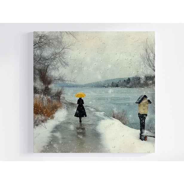 Obraz Na Plátně Canvas Krajina Zima Sníh Led Řeka Žena Procházka 50x50