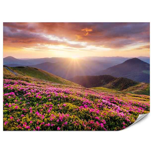 Muralo FOTOTAPETA do Obývacího Pokoje Západ Slunce Hory Louka Květiny 400x280