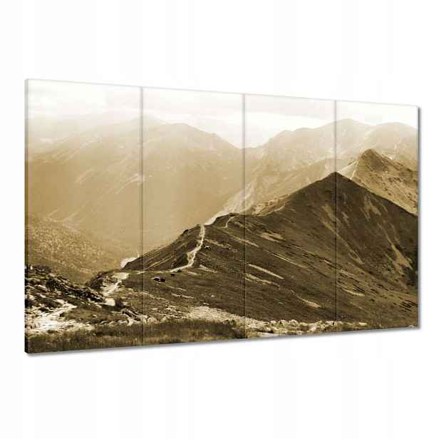Obrazy 120x80 Tatry Polské hory Pohled