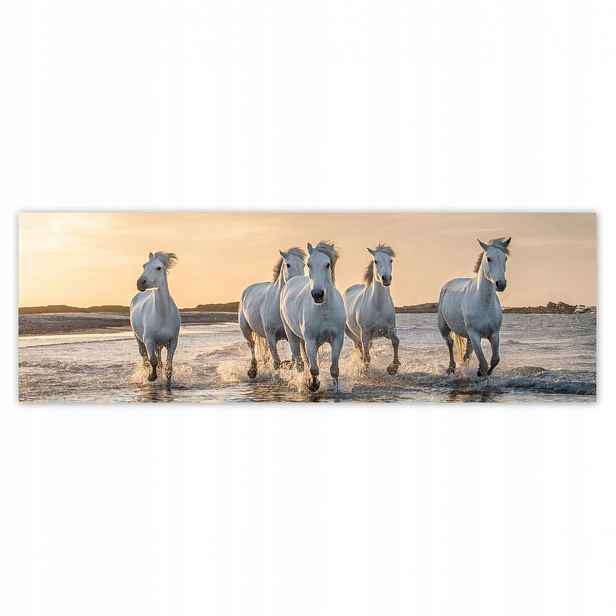 Plakáty 200x66 Divocí koně Wild Horses