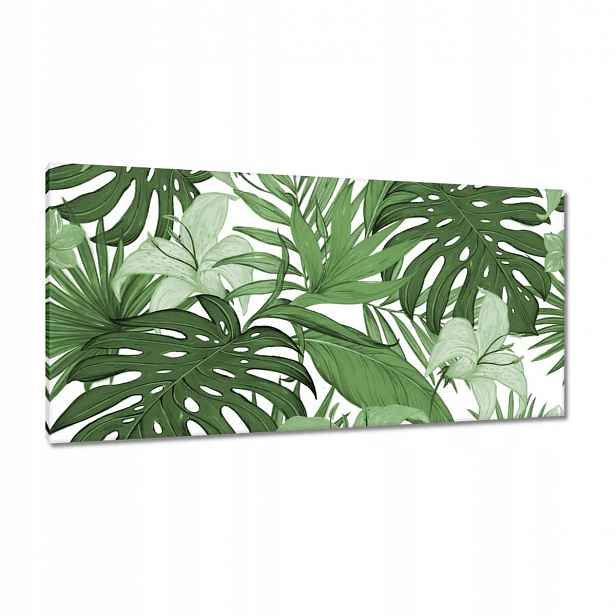 Obrazy 115x55 Monstera Moderní vzor