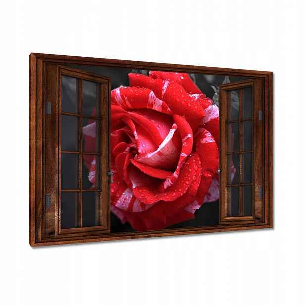Obrazy 120x80 Bílo-červená růže