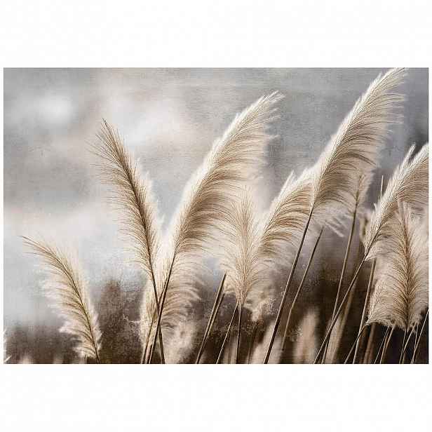 Wallarena FOTOTAPETA Pampas tráva přírodní béžová 416x254 cm