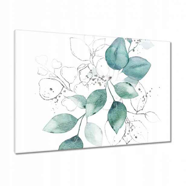 Obrazy 100x70 Eucalyptus stříbrný