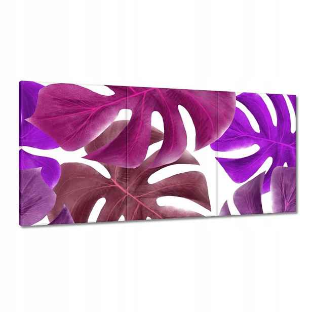 Obrazy 120x60 Monstera Listy Fialová
