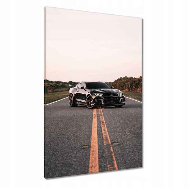 Obrazy 60x90 Automobilový průmysl Auta
