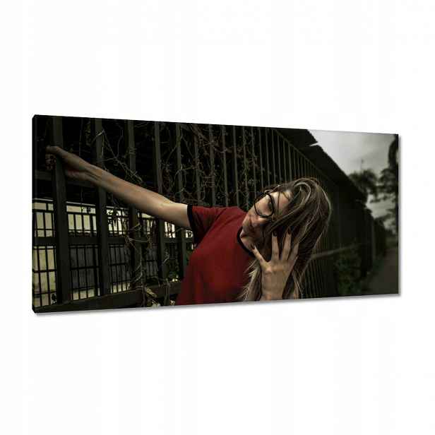 Obrazy 115x55 Bordové nebo vínové