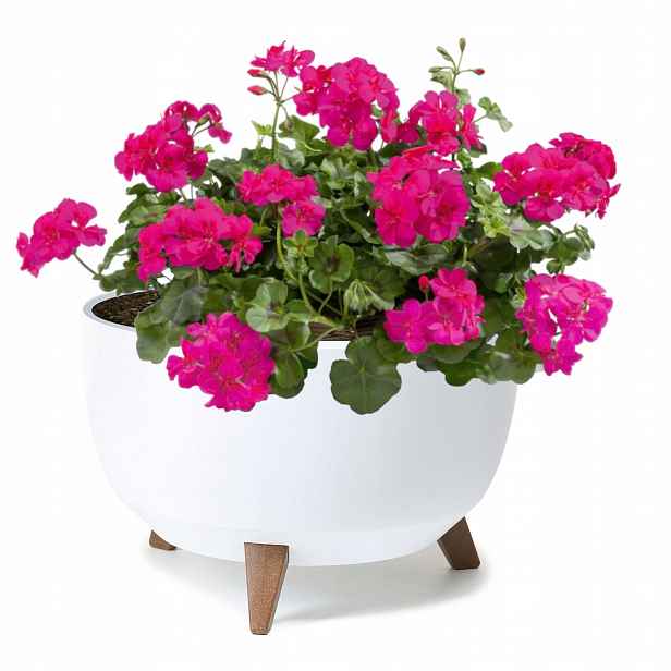 Květináč mísa kulatá s nohami 47 cm bílý
