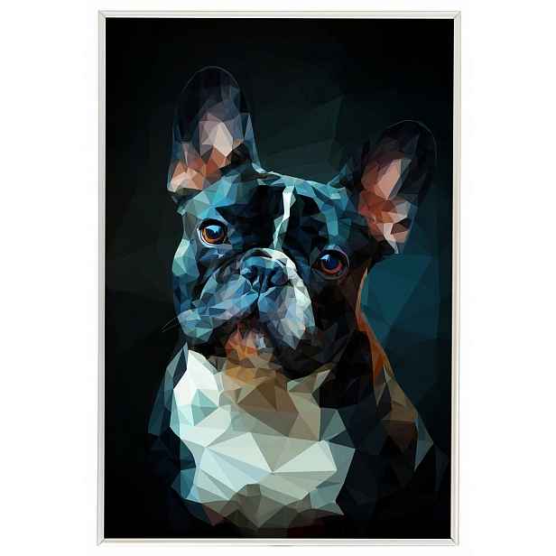 Plakát Rámeček Hliníková Grafika Low Poly Geometrie Pes Buldoček 3D 40x60