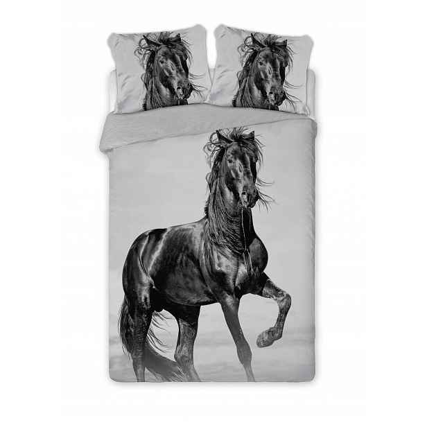 Povlečení pro mládež 160x200 perkál kůň mustang