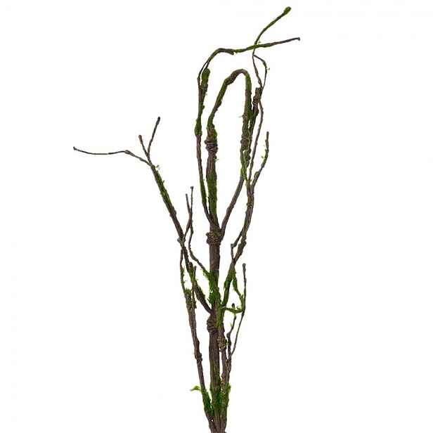 Dekorace hnědá větvička se zeleným mechem - 28*5*130 cm Clayre & Eef