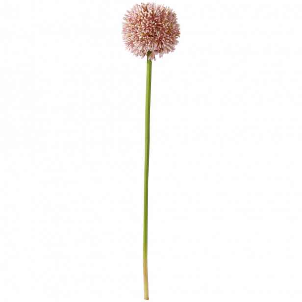 Umělá Květina Allium Ii -Paz-
