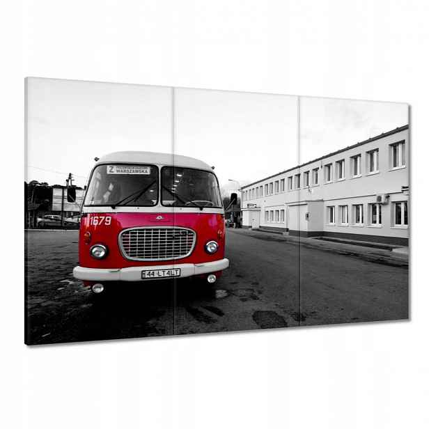 Obrazy 120x80 Červený Jelcz Okurka
