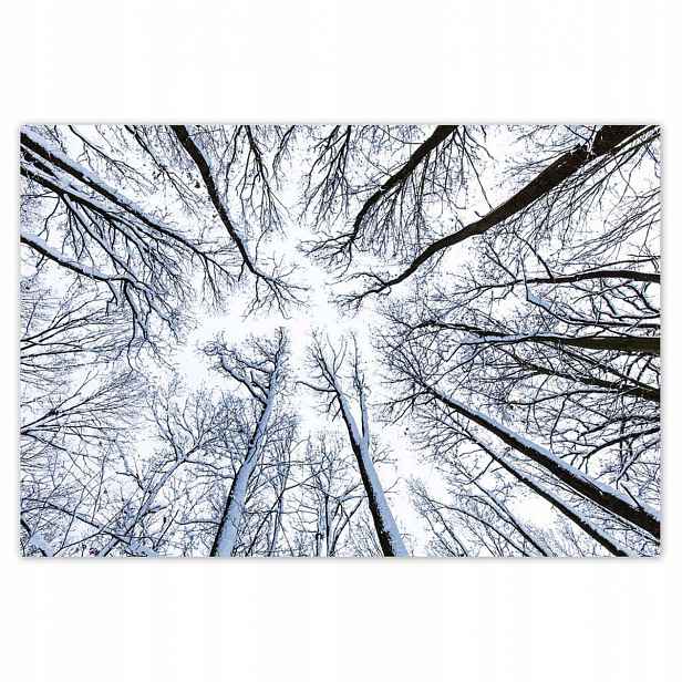 Plakáty 185x125 Stromy Pohled na stromy