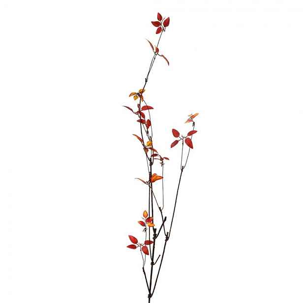 Dekorace hnědá větvička s červenými lístky - 18*5*116 cm Clayre & Eef
