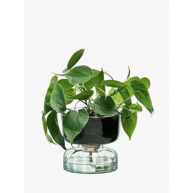 Samozavlažovací květináč Canopy, výška 13 cm, čirý - LSA International