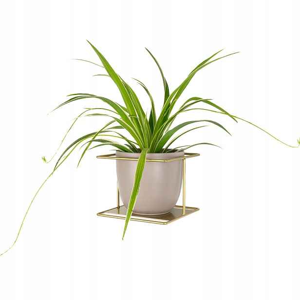 Květináč na zeď Flora XL závěsný kovový s velkou květinou, zlatá polička