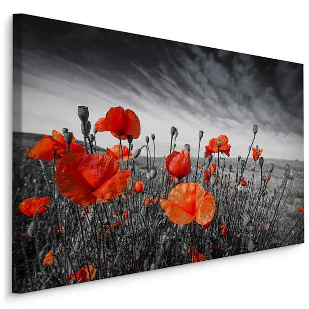 Plátno Divoké Máky Na Černobílé Louce Varianta: 40x30