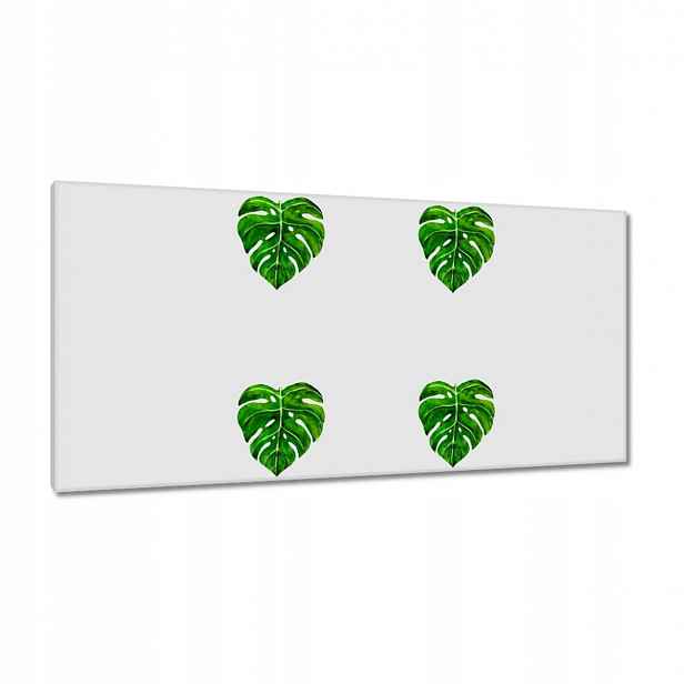 Obrazy 115x55 Monstera děravé listy
