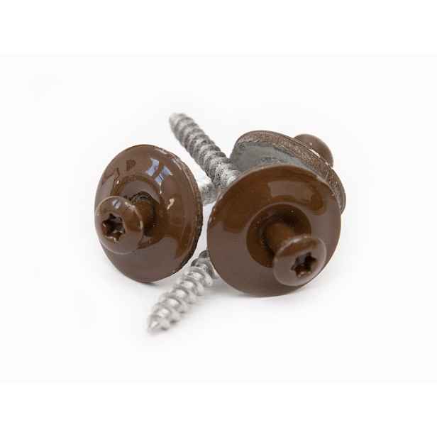 Gutta Vrut nerez V2A, 4,5 x 45 mm, lak bronz, 20 ks