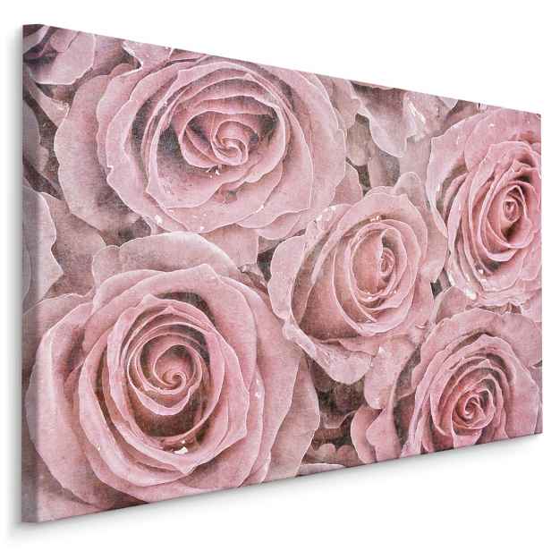 Plátno Krásné Vintage Růže Varianta: 30x20