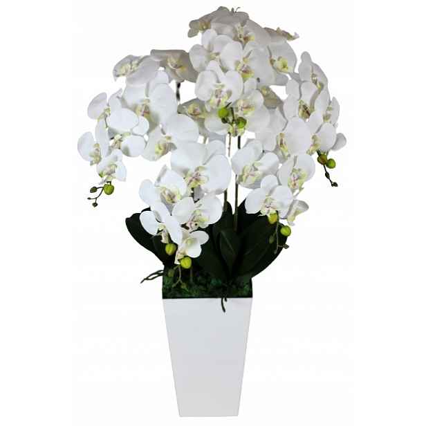 Orchidej Umělá Orchidej Květy Silikonová
