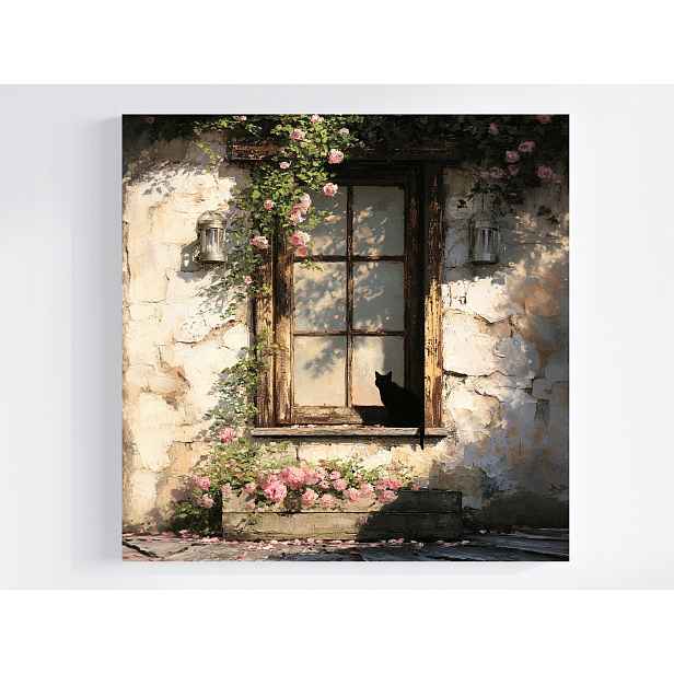 Obraz Na Plátně Canvas Dům Stěna Okno Černá Kočka Růžové Květy 50x50