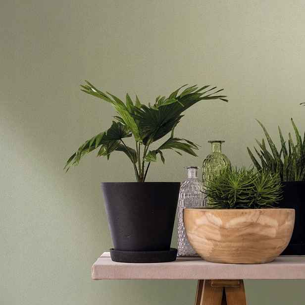 Zelená tapeta se strukturou odolnou proti drhnutí, minimalistická tapeta