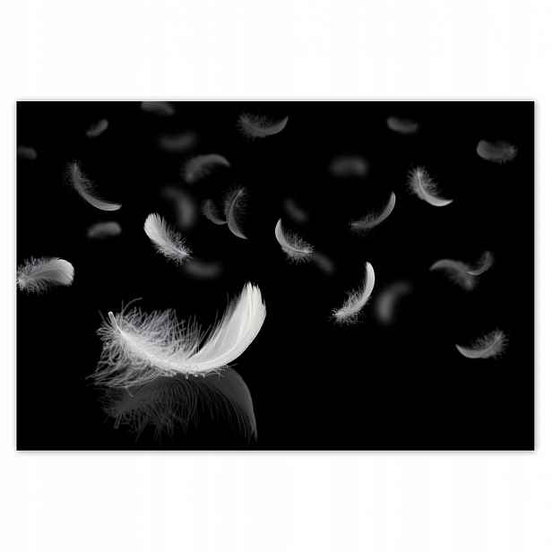 Fototapety 200x135 Padající bílé peří