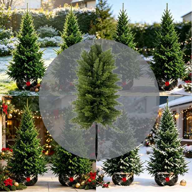 TEMU 29,92palcové velké venkovní umělé zelené rostliny Vánoční Norfolk Pine stromek do země, vhodný pro zahradní a dvorní vánoční dekorace, vánoční
