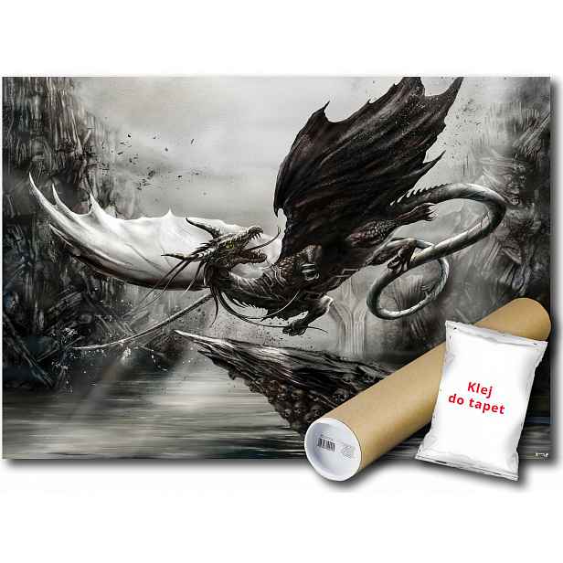 Fototapeta Drak S Lebkou 21A F4XL 416x290 F10852