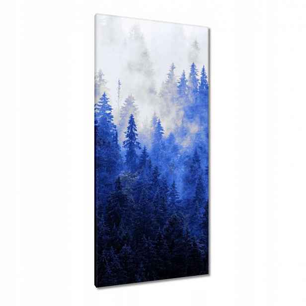 Obrazy 55x115 Modrá krajina Hory