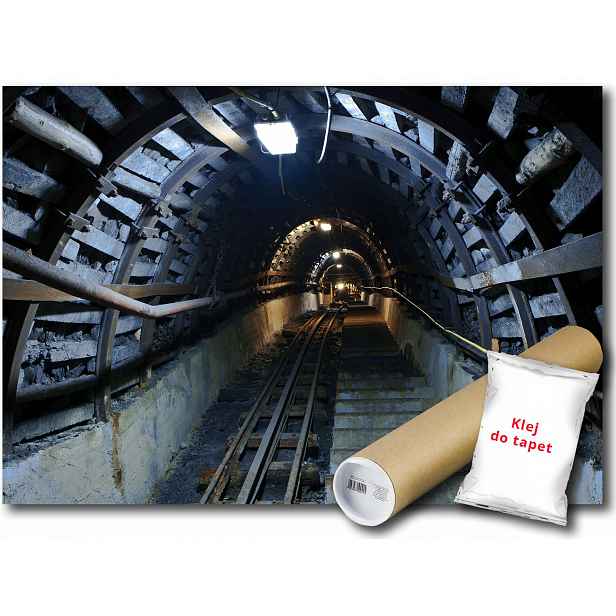Fototapeta Kopálový Tunel 24A V4 254x184 F10614