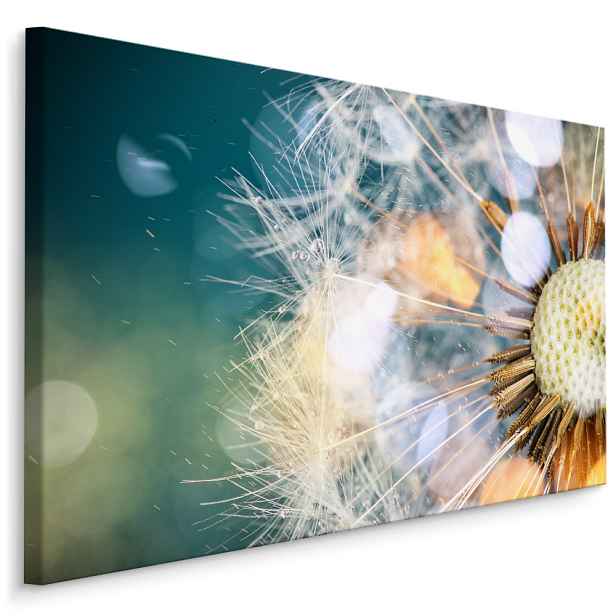 Plátno Barevná Pampeliška I. Varianta: 90x60
