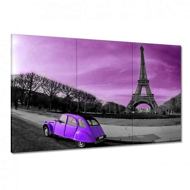 Obrazy 120x80 Fialová Citroen