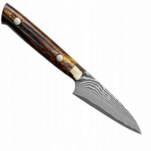 Takeshi Saji Ybb Ručně kovaný Nůž na loupání ovoce 9 Cm