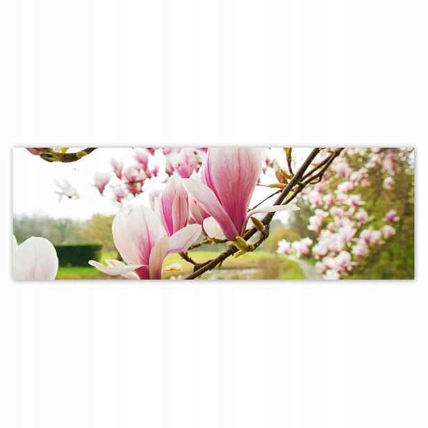 Plakáty 200x66 Magnolie v Poznani Květ