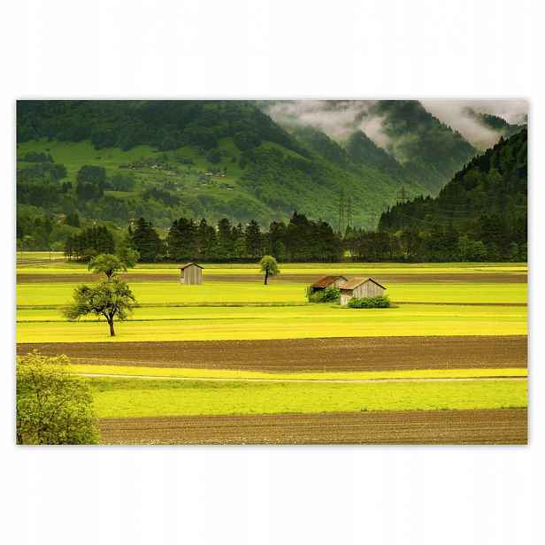 Plakáty 200x135 Zelené lány