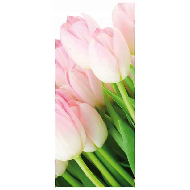 Samolepka Tapeta Tulipány jemná Kvetoucí v Rosie Pole Inspirace 91x211