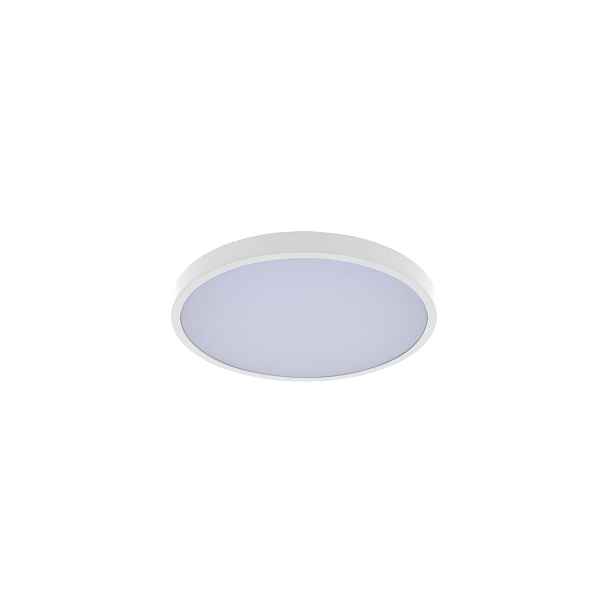 Stropní Svítidlo stropní Led Rgbw 36W bílý kulatý 42 cm stmívatelný IP44 Rabalux