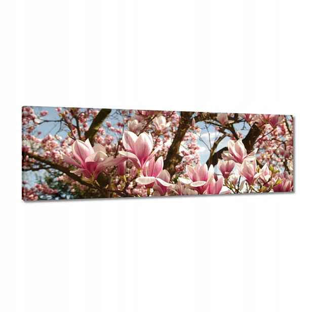 Obrazy 150x50 Magnolie Květiny Světle Modrá