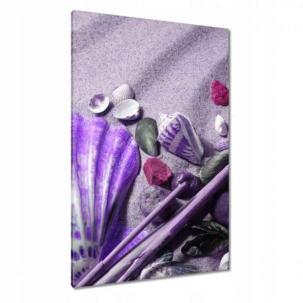 Obrazy 80x120 Fialová mušle
