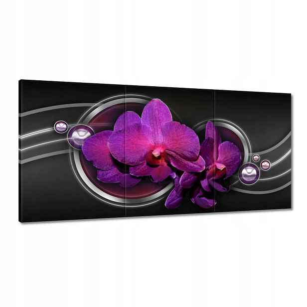 Obrazy 180x90 Fialová orchidej