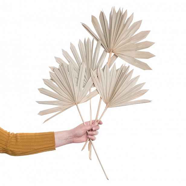 Butlers FLOWER MARKET Sušený palmový list 4 ks 60 cm